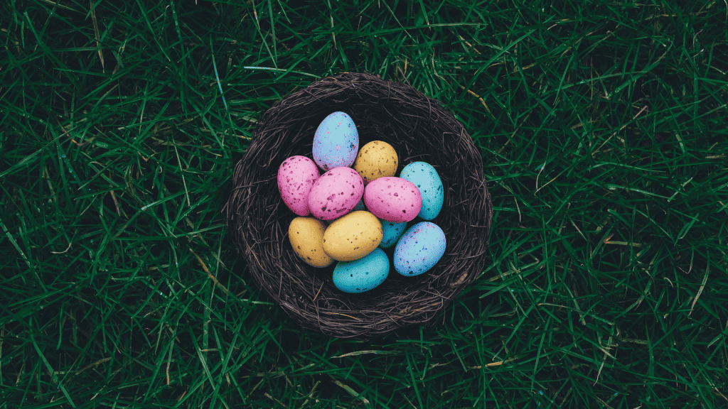 Colorful Eggs sitting in basket in grass
